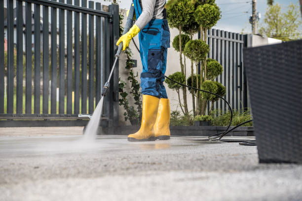 Best Solar Panel Cleaning  in Firebaugh, CA